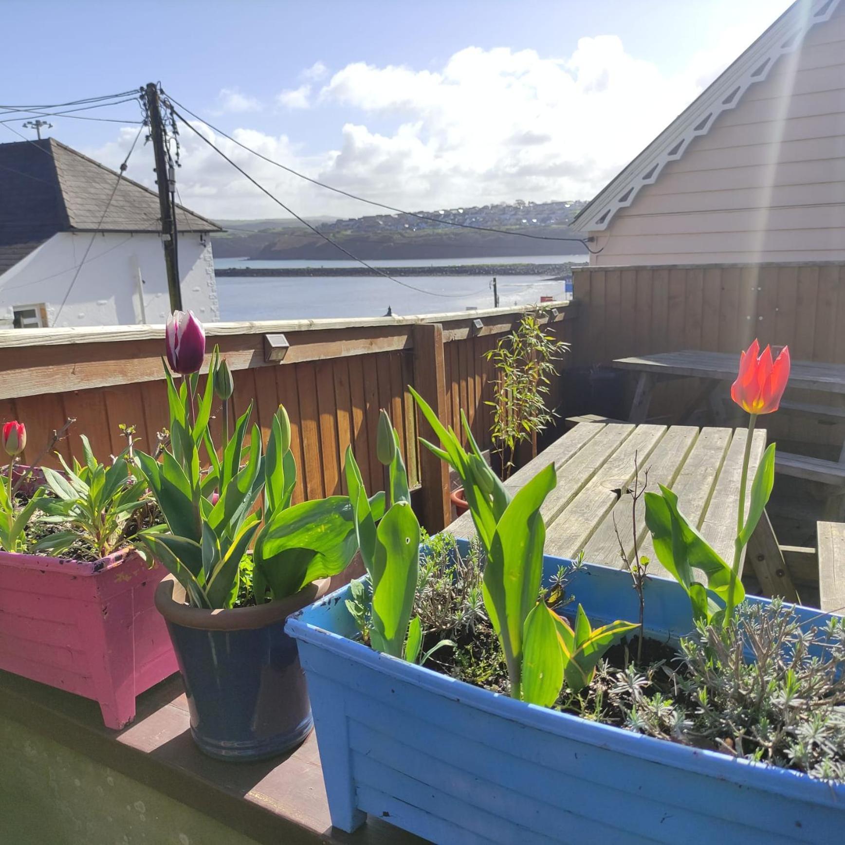 Rose And Crown Hotel & Hope And Anchor Bar Goodwick Dış mekan fotoğraf
