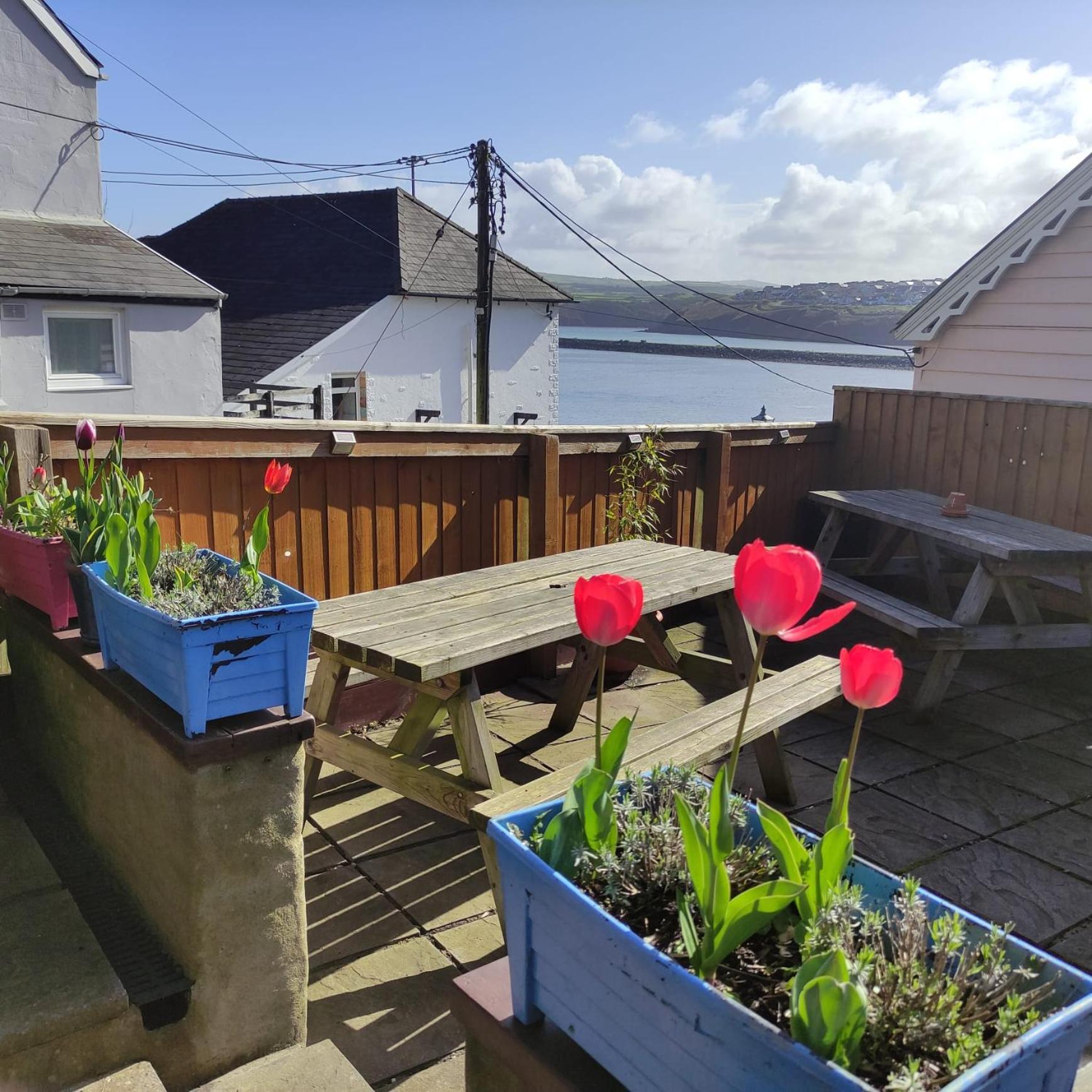 Rose And Crown Hotel & Hope And Anchor Bar Goodwick Dış mekan fotoğraf